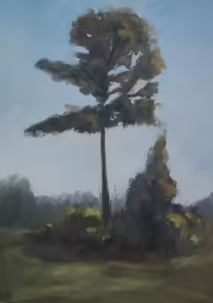 Original painting by Natan Shalva – They haven't killed all the trees yet