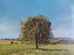 Original painting by Natan Shalva – The large tree that survived among the farmers' fields