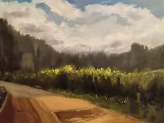 Original painting by Natan Shalva – The grasses near the park's outer path